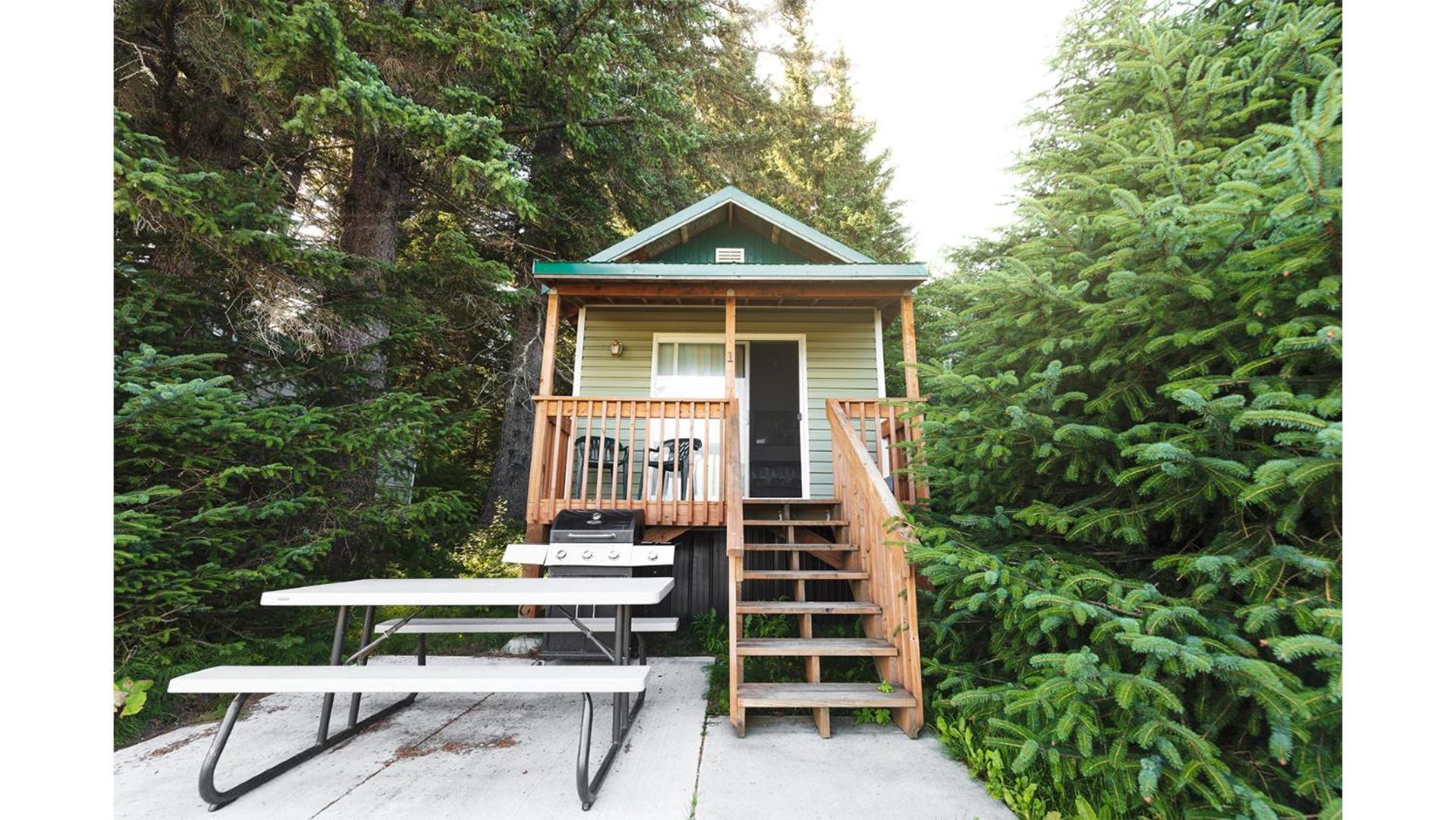Cabin 1 Lynn View Lodge Haines Exterior photo